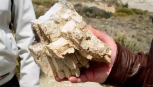 Formaciones geológicas sedimentarias y terreno irregular característico del Cerro Los Hornos