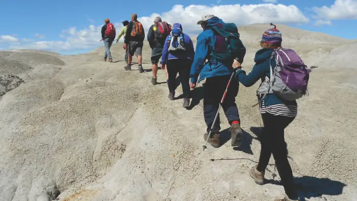 Caminata de exploración con guía bilingüe entre fósiles en el faldeo del Cerro Los Hornos