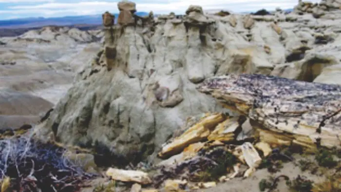 Enormes troncos petrificados expuestos en la superficie de la estepa patagónica de Santa Cruz