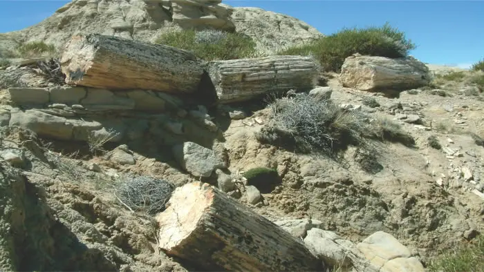 Formaciones geológicas sedimentarias y terreno irregular característico del Cerro Los Hornos