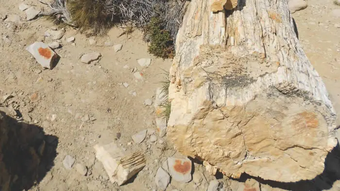 Formaciones geológicas sedimentarias y terreno irregular característico del Cerro Los Hornos