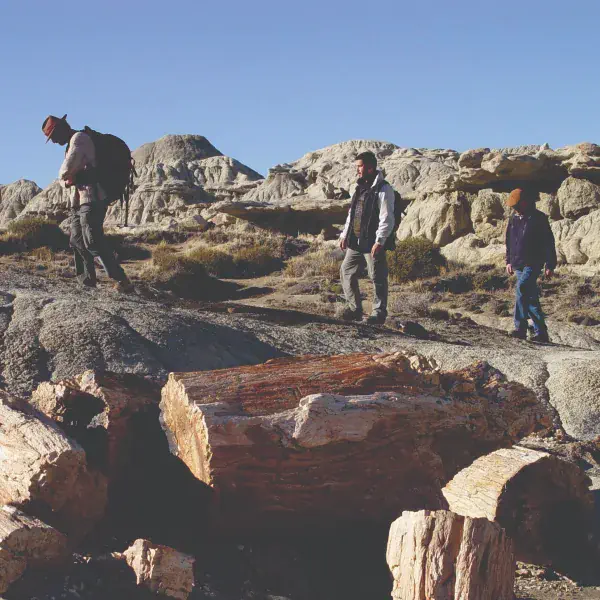 Excursiones Glaciar Perito Moreno
