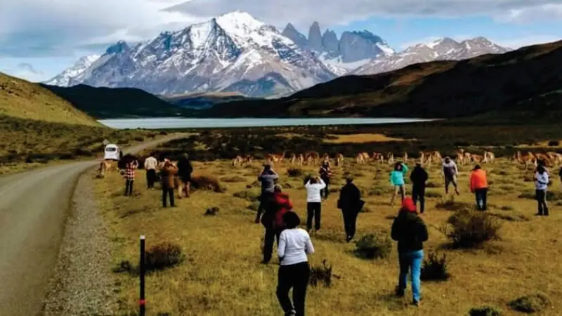 Recorre la Patagonia en nuestro camión Overland Turistas realizando caminata guiada en el Parque Nacional Torres del Paine.