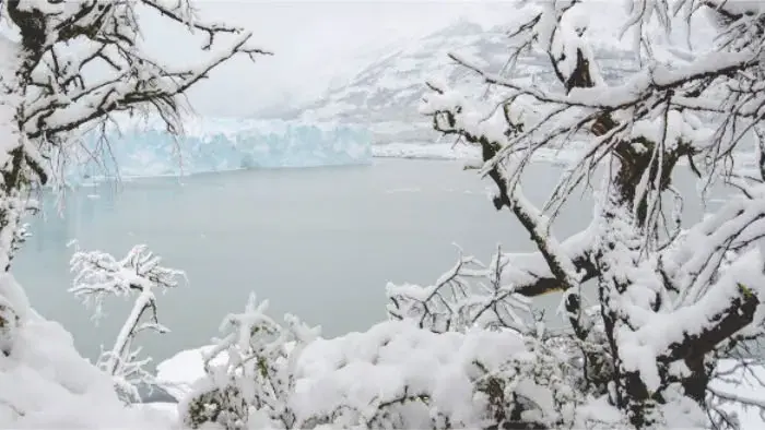 Vistas del hielo y grietas del Glaciar Perito Moreno