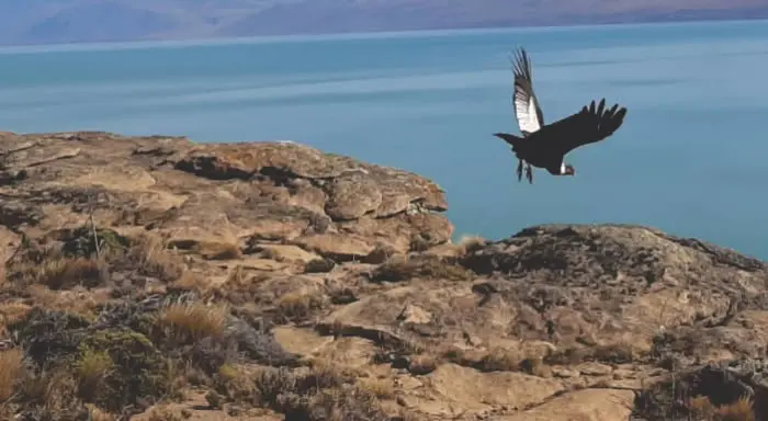 Travesía en camioneta 4x4 por los acantilados de Punta Bonita con vistas al Lago Argentino