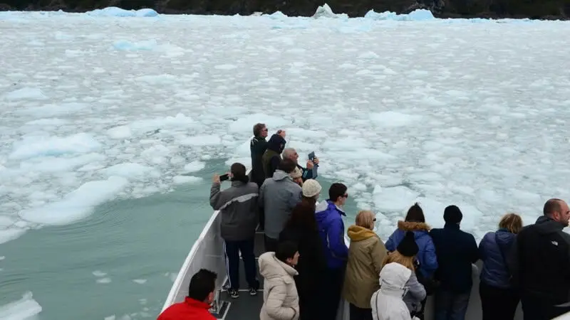 Experiencia inolvidable navegando entre glaciares y témpanos desde Puerto Bandera