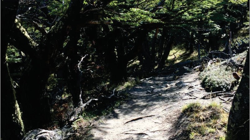 Laguna-de-los-tres_26